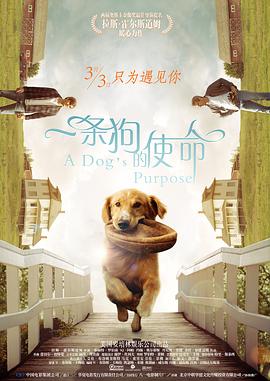 我就要你爽爽的