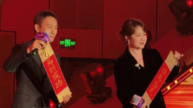国内精品久久国产